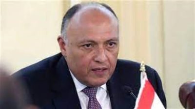 سامح شكري يثمن دور العلاقات المصرية الأمريكية ويؤكد: الشعب المصري يقرر نظاميه السياسي والاقتصادي | فيديو 
