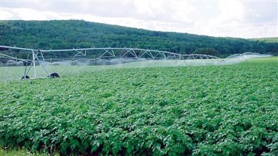 بالانفوجراف | 