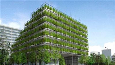 إنشاء عمارات خضراء لأول مرة في مصر تراعي التغيرات المناخية | فيديو