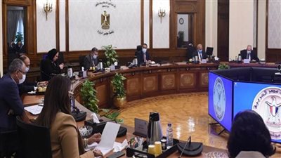 رئيس الوزراء يتابع جهود تسهيل حركة البضائع بين مصر والدول الإفريقية عن طريق الشحن البحري (صور)