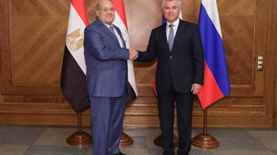 رئيس البرلمان الروسي يؤكد أهمية تعزيز التعاون مع مصر