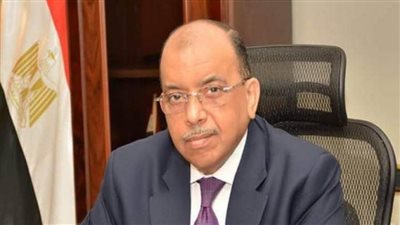 التنمية المحلية: 