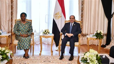 الرئيس السيسي يلتقي سكرتير عام منظمة الكوميسا