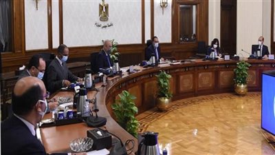 رئيس الوزراء يتابع تنفيذ توجيهات الرئيس ببدء أعمال تطوير القرى المتضررة من الأمطار في أسوان (صور)