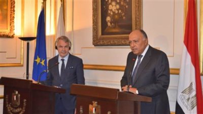 شكري يبحث مع نظيره الفنلندي سبل تعزيز العلاقات الثنائية بين البلدين