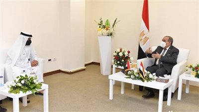 وزير الإنتاج الحربي يستقبل وفد إمارتي لبحث سبل التعاون المشترك (صور)