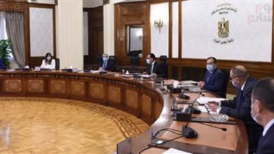 مجلس الوزراء: صادرات الغاز المسال تحقق النمو الأعلى عالميا آخر 3 أشهر