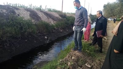  بالصور..حقيقة العثور على رؤوس حمير بترعة في كوم حمادة بالبحيرة