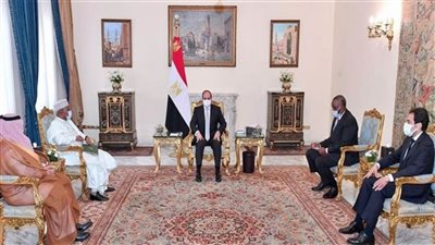 السيسي يستقبل أمين عام منظمة التعاون الإسلامي.. ويؤكد دعم مصر الكامل له في مهمته