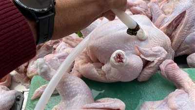 ضبط ١٨٥ كجم لحوم ودواجن غير صالحة للاستهلاك الآدمي في حملة لبيطري الغربية 