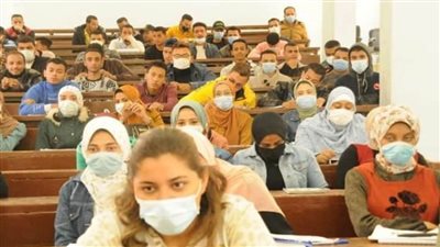 القوى العاملة تنظم ندوة توعية لنشر ثقافة السلامة والصحة المهنية في الوادي الجديد (صور)