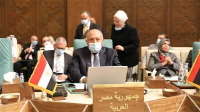 اجتماع مصري فلسطيني لمناقشة آخر التطورات السياسية والمستجدات على الساحة العربية