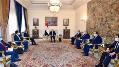 الرئيس السيسي يستقبل مدير عام الوكالة الدولية للطاقة الذرية