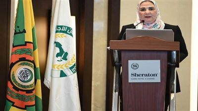 وزارة التضامن تستعرض جهود مصر في تعزيز نظم الحماية الاجتماعية
