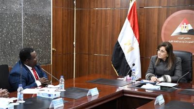 وزيرة التخطيط تلتقي التحالف الإفريقي للمناخ (صور)