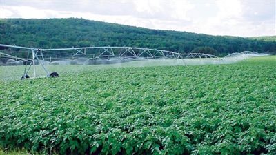 بالانفوجراف | 