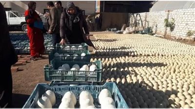 قرار جديد بشأن المتهمين بتصنيع الجُبن من دهان الحوائط في المنوفية