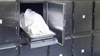 مصرع شخص وإصابة زوجته وطفليهما فى حادث تصادم بالغربية