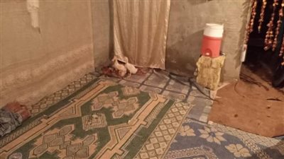 وزيرة التضامن توجه بإنقاذ 3 أسر بمحافظتي القاهرة والإسكندرية في 48 ساعة (صور)