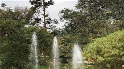 الري: انتهاء تطوير حديقة الياسمين بالقناطر الخيرية والافتتاح خلال أيام (صور)