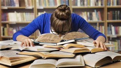 انتظام الدراسة غدا في الغربية 