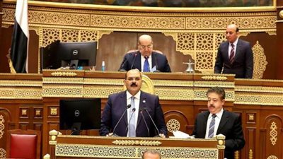 عاجل.. وزير القوى العاملة يناقش قانون العمل الجديد في مجلس الشيوخ 