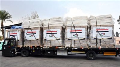 بتوجيهات من الرئيس السيسي.. مصر ترسل مساعدات طبية وإنسانية لجنوب السودان (فيديو)