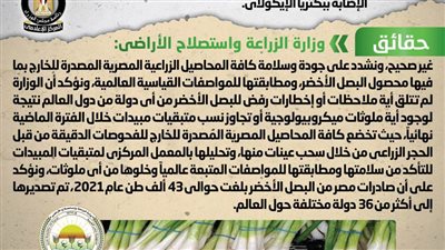 الحكومة ترد على شائعة تصدير شحنات فاسدة من البصل الأخضر المصري تتسبب في الإصابة ببكتريا الإيكولاى