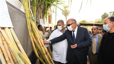 محافظ قنا يشهد بدء الموسم الـ ١٢٥ لعصر القصب بمصنع سكر نجع حمادى  