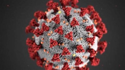 رئيس الوزراء الروسي يعلن ارتفاع إصابات كورونا بسبب متحور «أوميكرون» 