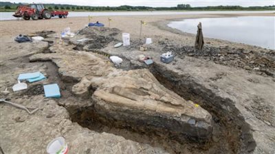 العثور على حفرية 