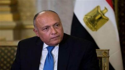 وزير الخارجية يعقد مباحثات مع رئيس مؤتمر أطراف تغير المناخ غدا