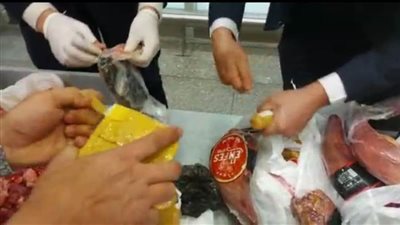 تهرب أدوية في اللحمة ومعدات الحلاقة مع راكبين في مطار القاهرة | صور