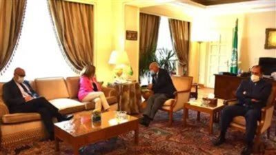 أبو الغيط وستيفاني ويليامز يؤكدان ضرورة إجراء الانتخابات في ليبيا