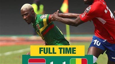 في مصلحة تونس.. مالي وجامبيا يتعادلان في كأس الأمم الإفريقية