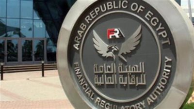الرقابة المالية تكشف إجراءات لتحقيق الشمول المالي غير المصري في ٢٠٢١ 