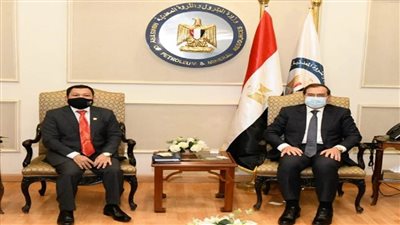 مباحثات مصرية ماليزية في مجال البترول والغاز