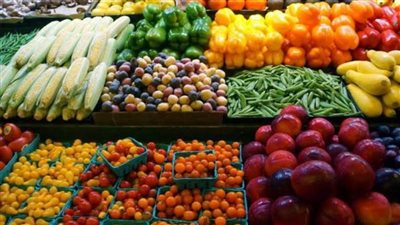 برودة الطقس تهدد ٥ محاصيل زراعية.. اعرف التفاصيل