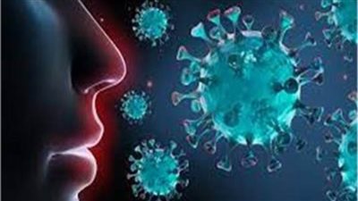 سلالة فرعية من 