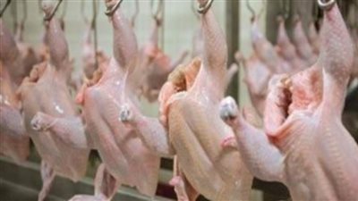 أسعار الدواجن والبيض في مصر اليوم.. الفراخ بـ31 جنيها والبيض بـ49.5 جنيه