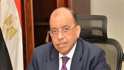 إنطلاق المرحلة الثانية من الموجة الـ 19 لإزالة التعديات على الأراضي المملوكة للدولة