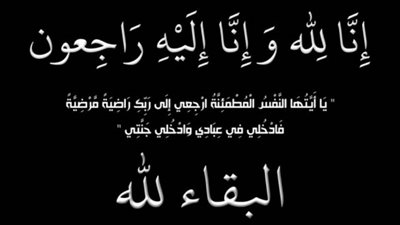 محمود الشويخ يعزي المستشار محمود نادي الشويخ في وفاة زوجته وأولاده 