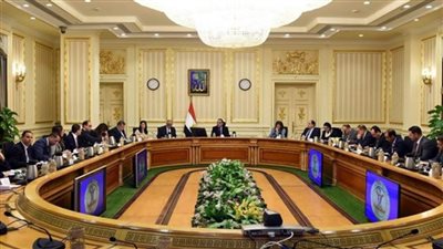 بالإنفوجراف | الحصاد الأسبوعي لمجلس الوزراء 