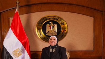 155.4 % زيادة في الصادرات المصرية للبرازيل في 2021