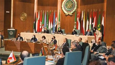 أبوالغيط يدعو لاستغلال قمتي المناخ في مصر والإمارات للدفاع عن مصالح العرب 