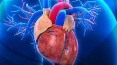 أستاذ أمراض قلب: 50% من حالات الوفاة المفاجئة بين الشباب