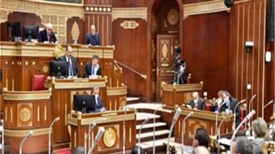 «صحة الشيوخ»: عقدنا 21 اجتماعا لمناقشة القضية السكانية 