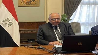 «شكري» يجتمع مع وزير الدولة البريطاني لتنسيق مؤتمر المناخ 