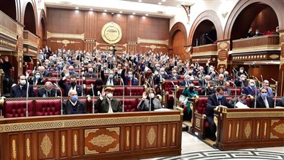 «مجلس الشيوخ» يستأنف جلسته العامة بمناقشة قانون التأمين الموحد.. غدًا