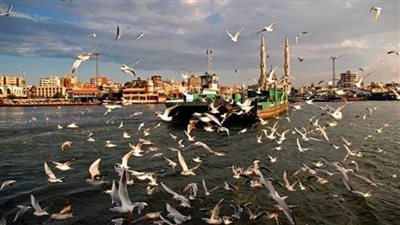 تعرف علي الانجازات  في مجال السياحة ببورسعيد